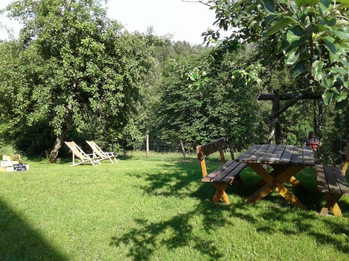 Familienbauernhof Glockriegl Villa Lunz am See Exterior photo